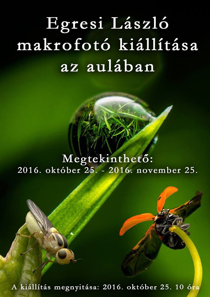 Egresi László makrofotó kiállítás megnyitója – 2016.10.25