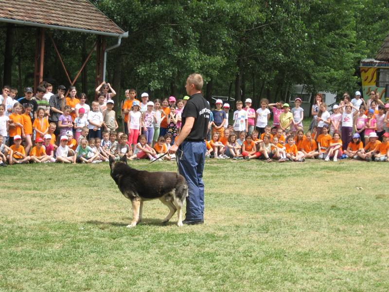 Diák-önkormányzati nap – 2011.06.09