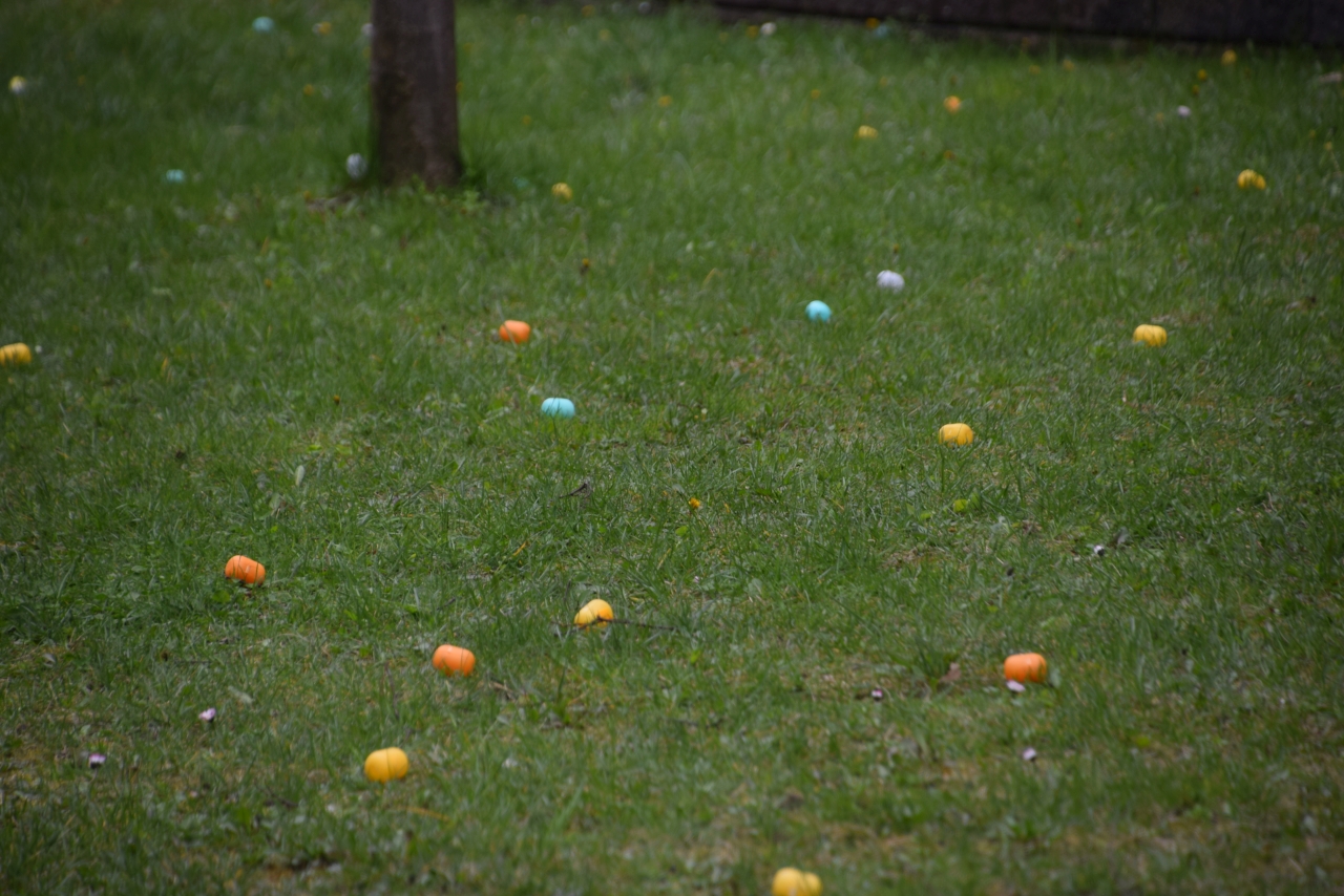 Húsvéti tojáskeresés – 2023.04.12