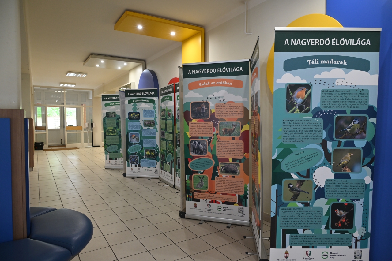 Fenntarthatósági témahét – 2026.04.20-24